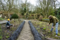 Jardiniers construisant des supports de noisetiers pour plantes herbacées vivaces au York Gate Garden en février 