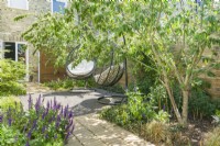 Paire de chaises de jardin suspendues dans un petit jardin urbain ensoleillé avec de l'ombre tachetée fournie par des cotonéasters à plusieurs tiges. Juin. 