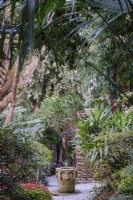 Clairière dans un jardin semi-tropical, ombragé par des palmiers et des bambous. Un puits au centre. 