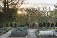 Potager formel de bordures de légumes surélevées entouré d'arbres fruitiers en espalier à Ivy Croft en janvier 