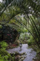 Lanterne japonaise en pierre dans un jardin caché sous les palmiers 