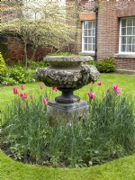 Grande urne décorative en pierre sur un socle entourée de Tulipa 'Reine Rania' devant le mur de briques et la maison 