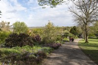 Jardins botaniques de Sheffield Yorkshire Angleterre Royaume-Uni. Vues générales. Parterres de fleurs avec jacinthes. 