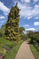Jardins botaniques de Cambridge Angleterre Royaume-Uni. Vues générales. 